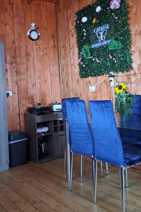 Cabana Duende Oscuro - Paradise In The Mountains! San Pablo  ภายนอก รูปภาพ